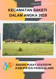 Kecamatan Saketi Dalam Angka 2019