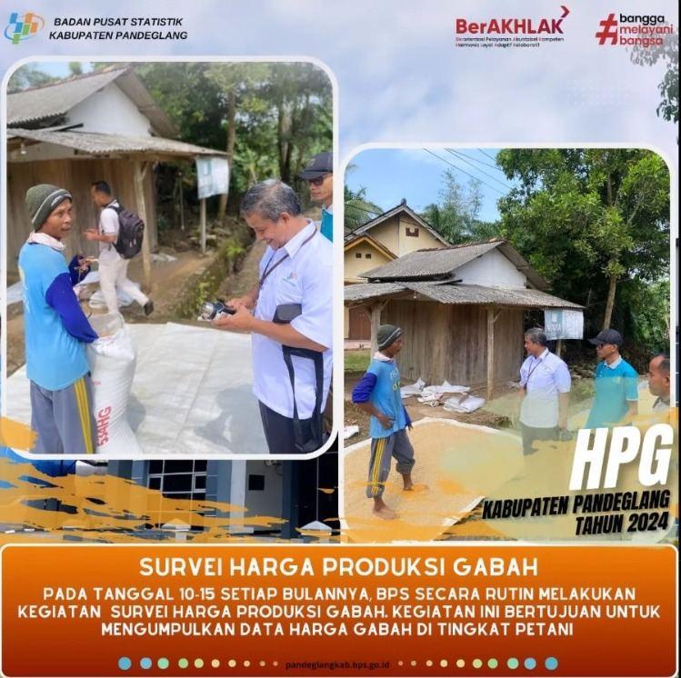 Survei Harga Produksi Gabah (HPG) 2024