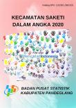 Kecamatan Saketi Dalam Angka 2020