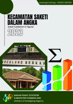 Kecamatan Saketi Dalam Angka 2023