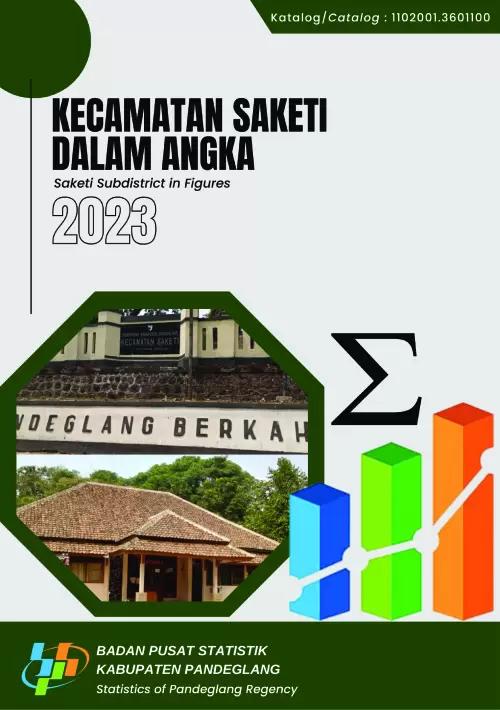 Saketi Subdistrict in Figures 2023