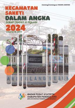 Kecamatan Saketi Dalam Angka 2024