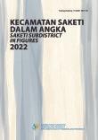 Kecamatan Saketi Dalam Angka 2022