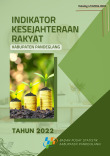 Indikator Kesejahteraan Rakyat Kabupaten Pandeglang 2022